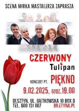 Olsztyn Wydarzenie Koncert Czerwony Tulipan - Piękno